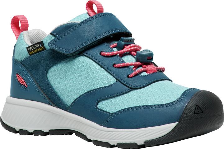Keen C Skua WP