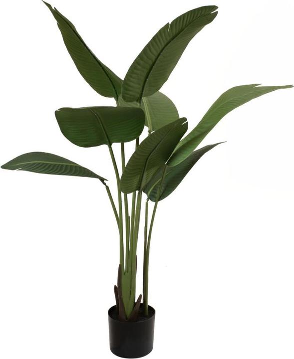 Produktbild Europalms Strelitzie, Kunstpflanze, 110cm