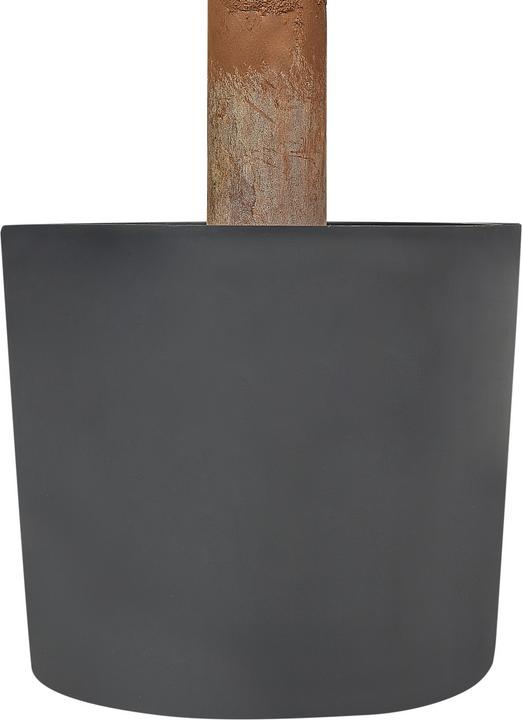 Image du produit Beliani BUXUS BALL TREE (120 cm)