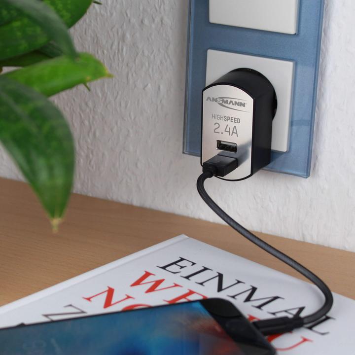 Actual product image Ansmann High Speed USB Charger 2.4A 2xUSB Port