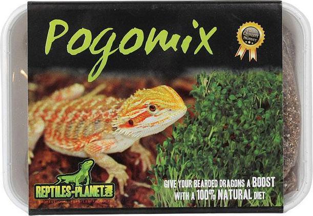 Immagine prodotto Reptiles-Planet Rettili Pianeta Pogomix Draghi barbuti