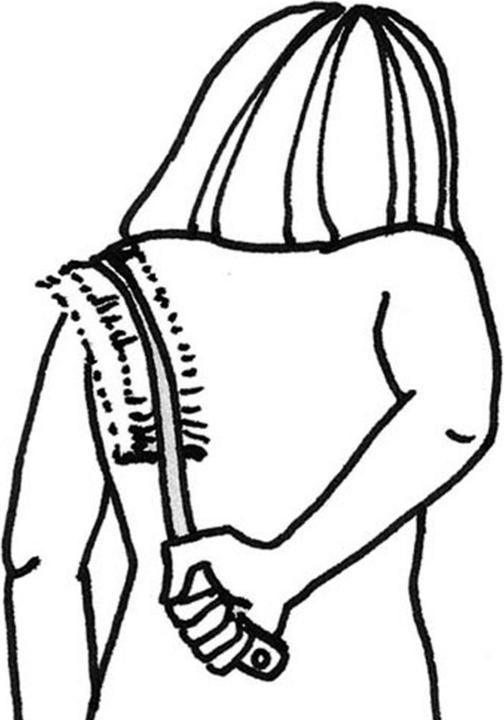 Immagine prodotto Sellmer Spazzola per massaggi (Toilette)