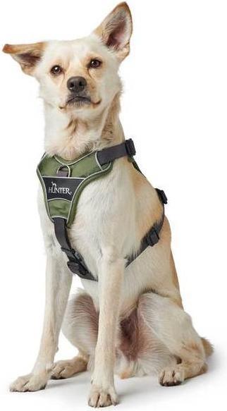 Produktbild Hunter Divo (S, Hund, Allgemein)
