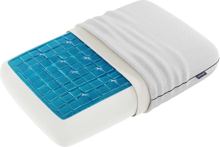 Image du produit Technogel Deluxe (66 x 40 x 17 cm)