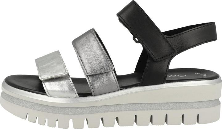 Grigio