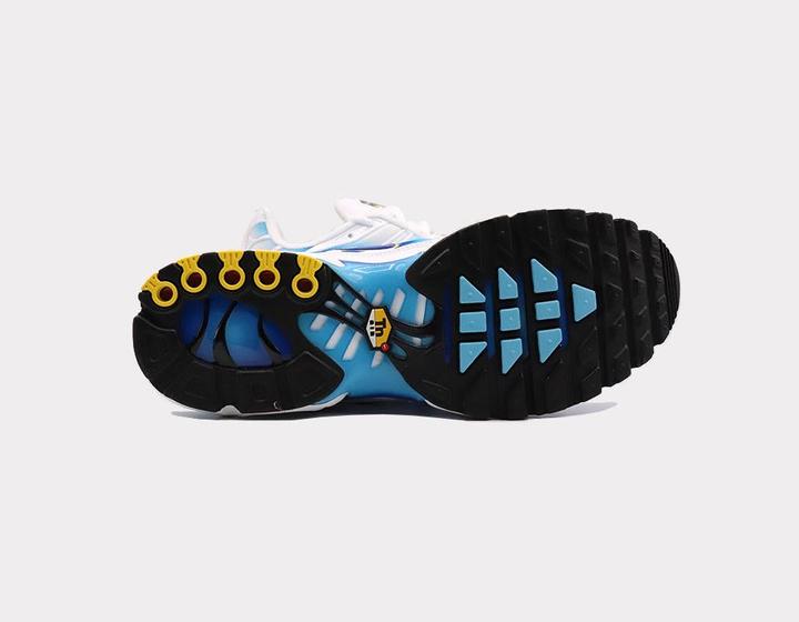 Actual product image Nike Air Max Plus (40)