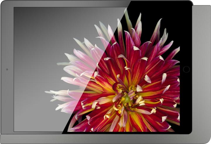 Produktbild Viveroo 510171 iPad Wandhalterung free