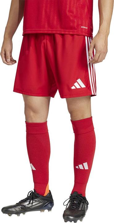 Actual product image adidas Tastigo25 Short (XS)