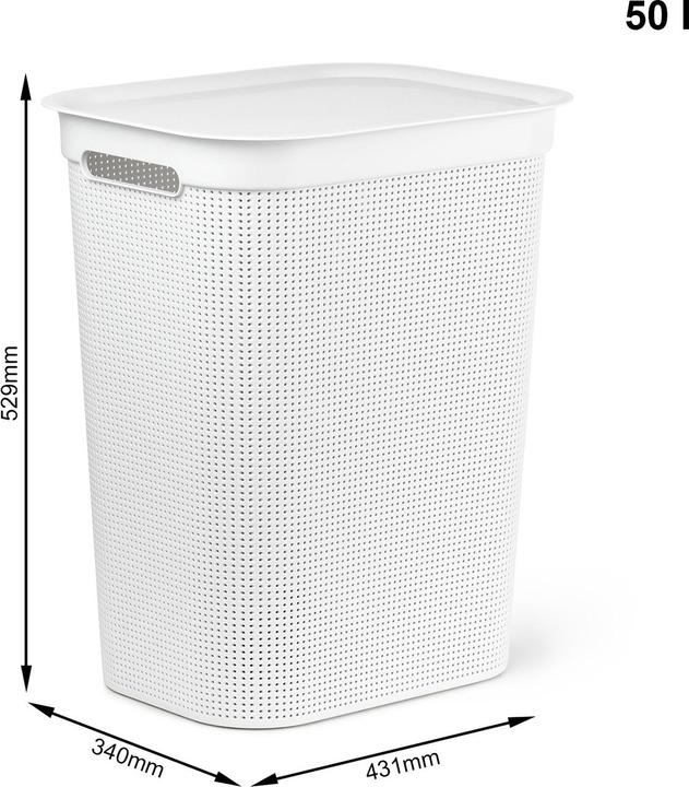 Produktbild Rotho Brisen (50 l)