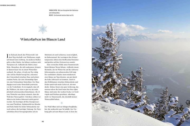 Produktbild Winterreise (Deutsch, Alexandra Schlüter, 2024)