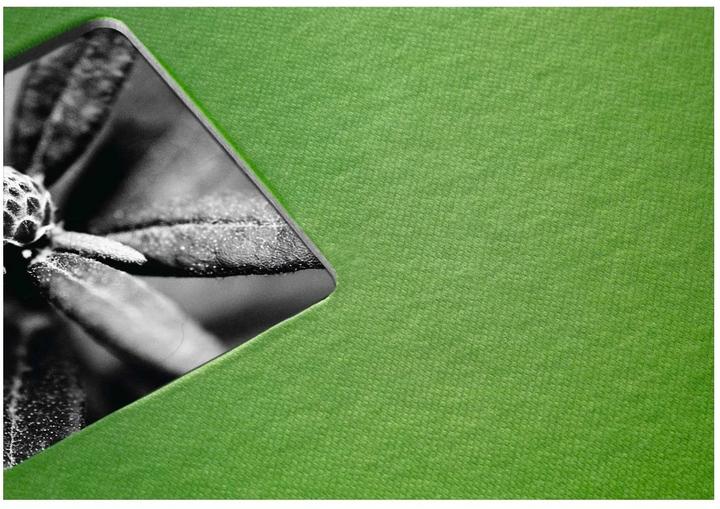 Actual product image Hama Fine Art (10 x 15 cm)