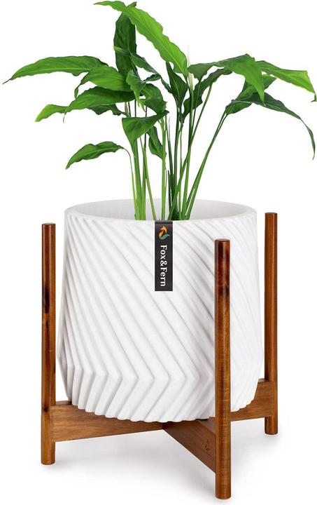 Produktbild Fox & Fern Pflanzenstaender Akazie XL