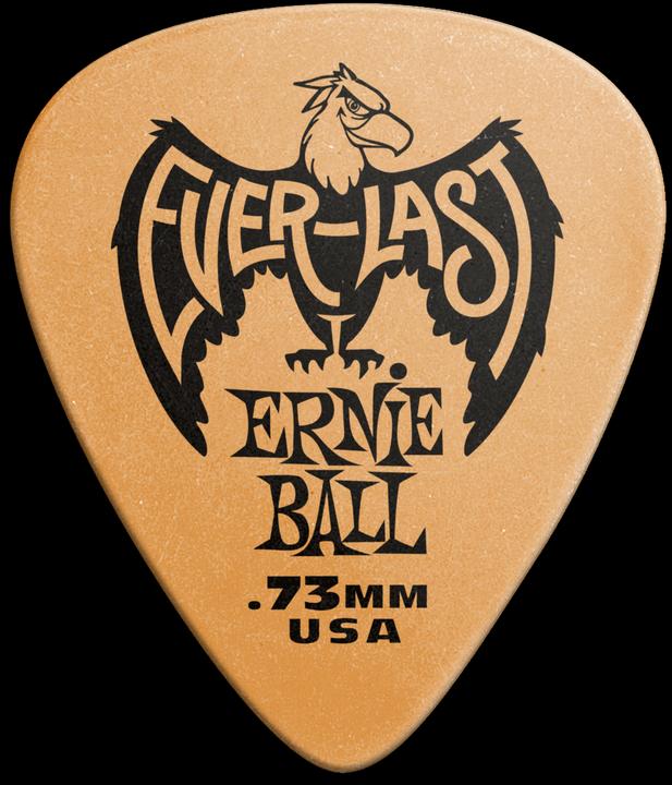 Actual product image Ernie Ball Everlast (12 x, 0.73 mm)