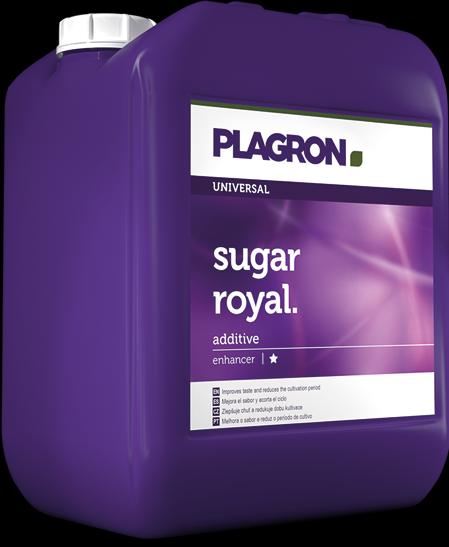 Image du produit Plagron Sugar Royal 5L (6 kg, 5 l)