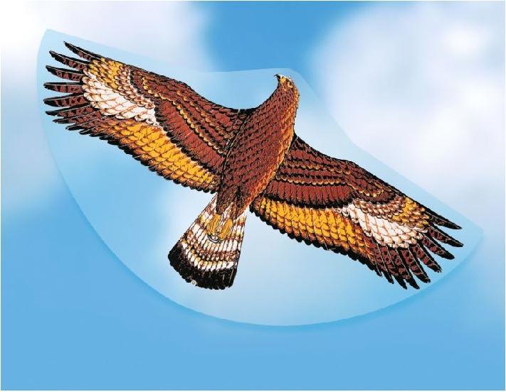 Actual product image Günther Flugspiele Steinadler