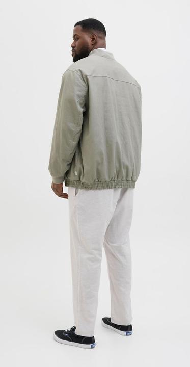 Actual product image Jack & Jones Plus Size Relaxed Fit Relaxed Fit Hosen Relaxed Fit Hosen (48)