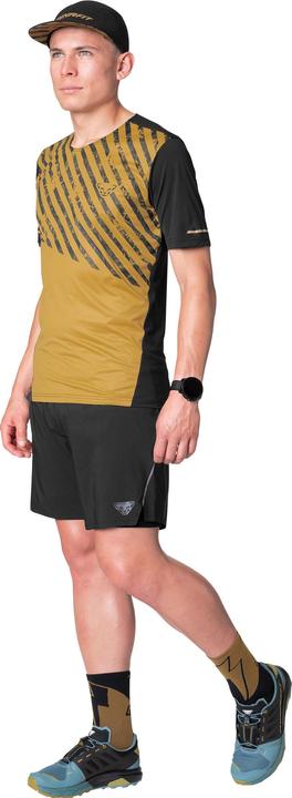 Produktbild Dynafit Alpine Shirt Herren (XL)