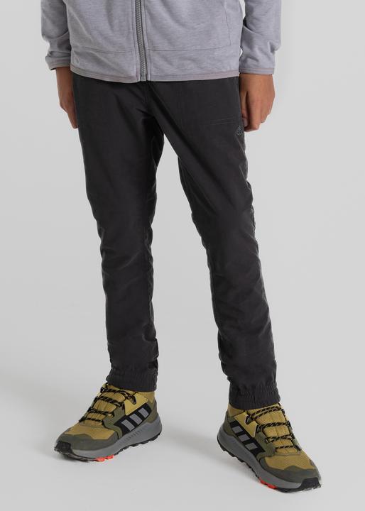 Actual product image Craghoppers Nosilife Pinzon Trousers (158)