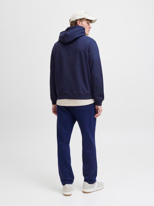 Immagine prodotto Jack & Jones Jornorrebro Emb Sweat Hood Noos (XS)