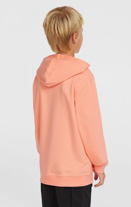 Produktbild O'Neill Logo Hoodie (176)