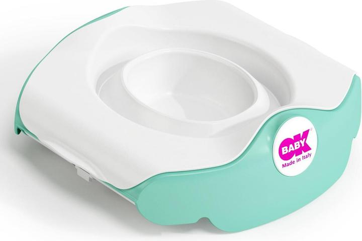 Actual product image OK Baby Roady