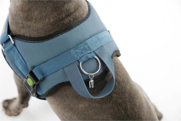 Produktbild Kerbl Hundegeschirr Maestro 20 (Hund, Allgemein)