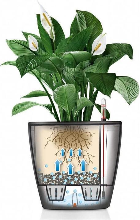 Produktbild Lechuza Classico (22 cm)