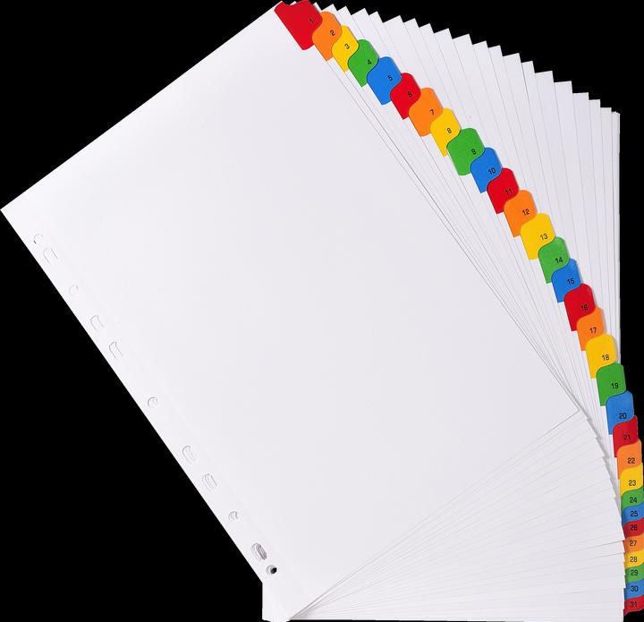 Image du produit Exacompta Intercalaires Imprimés numériques carte blanche 160g/renforts couleurs + page de garde - 31 position