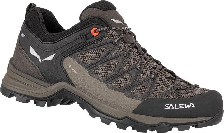 Produktbild Salewa Mountain Trainer Lite GORE-TEX (47)