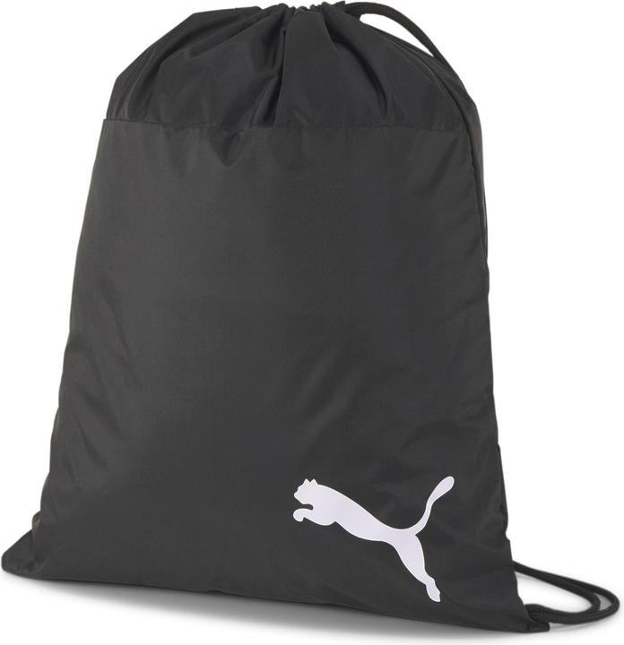 Produktbild Puma teamGOAL 23 Gym Sack-076853