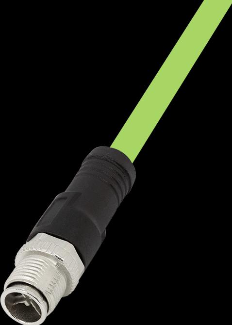 Actual product image LogiLink Network cable (0.50 m)