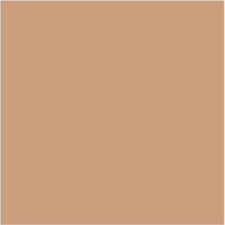 Actual product image Mesauda Face - The Skin Moisturising Foundation C20 (C20)