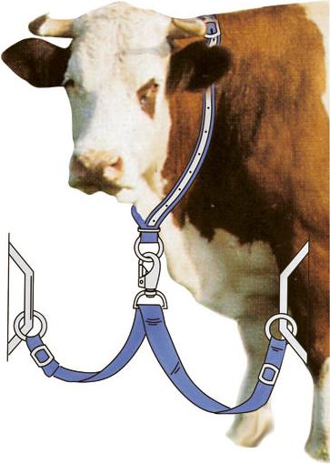 Immagine prodotto Kerbl Legatura a catena per mucche, bovini e giovani animali, in Trevira