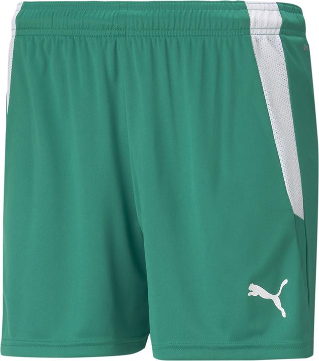 Image du produit Puma short teamLIGA W-704936 (L)
