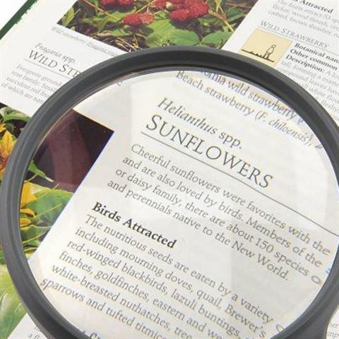 Actual product image Carson Hand magnifier