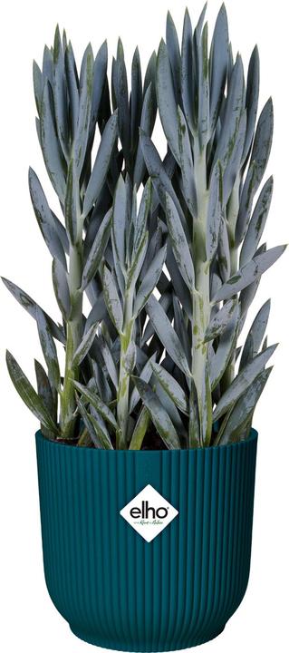 Actual product image Elho Vibes Fold (22 cm)