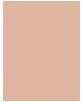 Image du produit Bourjois Always Fabulous 24H (300 Rose sable)
