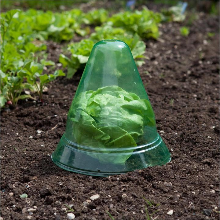 Actual product image Windhager Plant hat