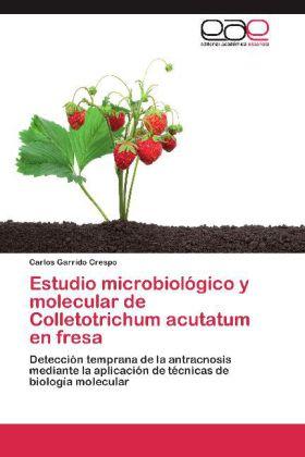 Produktbild Estudio microbiológico y molecular de Colletotrichum acutatum en fresa (Carlos Garrido Crespo, 2012)