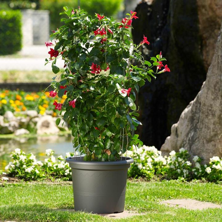 Productafbeelding Euro3plast Plantenbak (25 cm)