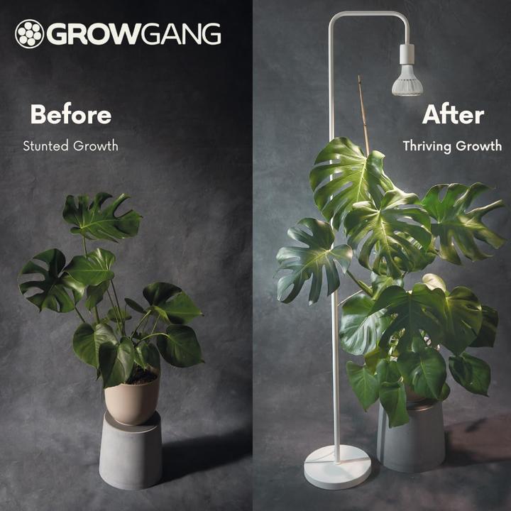 Produktbild Grow Gang Vollspektrum LED Pflanzenlampe Pianta (LED)