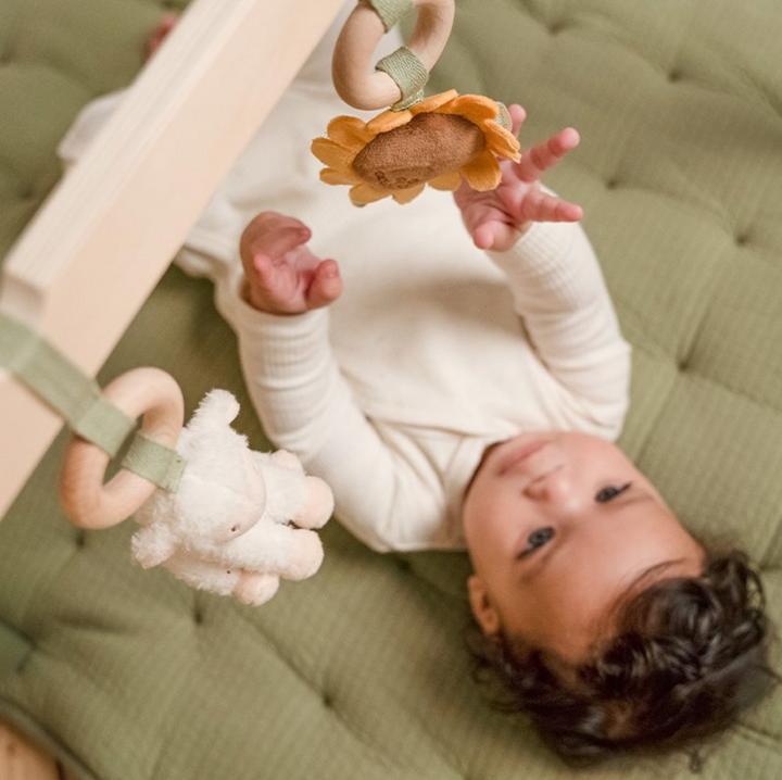 Actual product image Little Dutch Play trapeze
