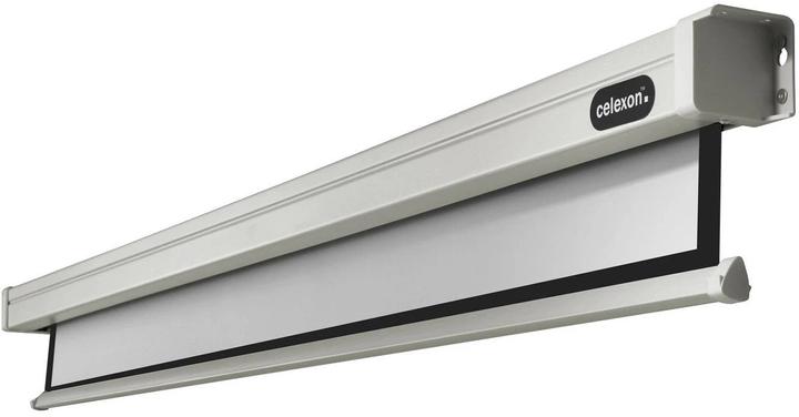 Actual product image Celexon Professional Line (122.05", 16:9)