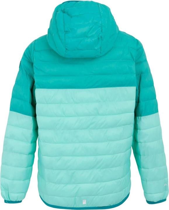 Image du produit Regatta - Veste à capuche HILLPACK - Enfant (170, 176)