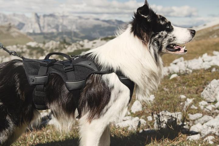 Produktbild Hurtta Rucksack inkl. Active Geschirr (M, Hundeweste)