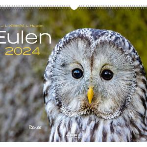 Actual product image Owls (48 x 33.5 cm, No binding, German)