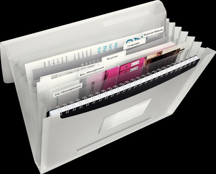 Actual product image Esselte Vivida (A4, 1 x)