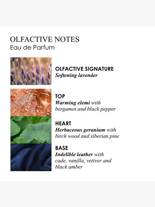 Actual product image Molton Brown Molton Eau de Parfum Dark Leather 100 ml (Eau de parfum, 100 ml)