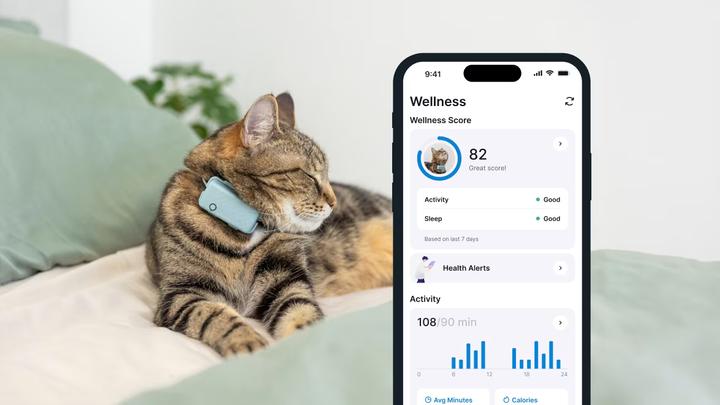 Immagine prodotto Tractive GPS Mini (Taglia unica, Gatto, Generale)