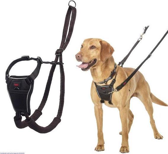 Productafbeelding Company of Animals Halti No Pull Antizug M Harness (M, Hond, Hondensport)